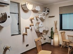 -楼上猫咖(罗湖店)