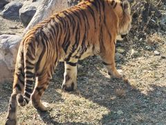 -石家庄市动物园