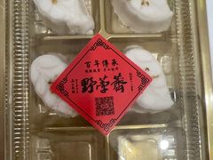 -野荸荠