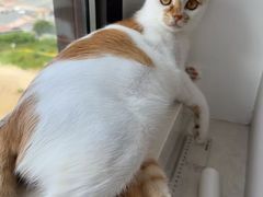 -拜鲁耶动物诊疗中心·宠家动物医院