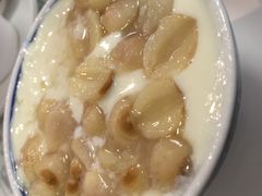 莲子姜撞奶-仁信老铺(北滘店)