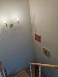 -净妍美肌专业净毛嫩肤连锁机构