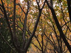 -苏州河梦清园环保主题公园