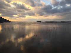 -北岐滩涂