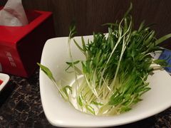 -海底捞火锅(亲贤北街店)