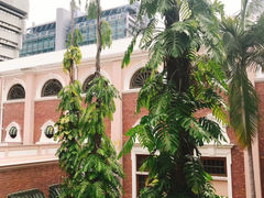 -香港大学