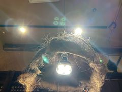 -泥糊破店小酒馆·团建聚餐(南京西路店)