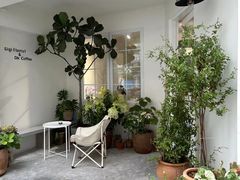 -Gigi Florist·Dk Coffee