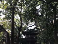 -溪口-滕头旅游景区