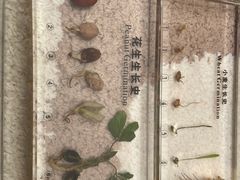 -二酉书店TOYOU BOOKS