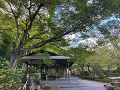 -天龙寺