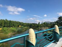 -上海长兴岛郊野公园