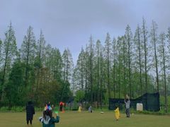 -前小桔亲子创意农场·草莓采摘·露营烧烤