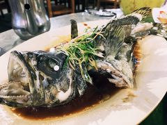 -四川小胡子海鲜(丁村万人海鲜广场店)