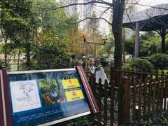 -成都市活水公园