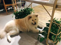 -肆兮眼镜·蔡司·徕卡战略合作店(大坪店)