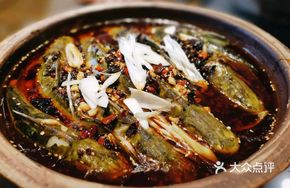 Sour Radish Yellow Catfish