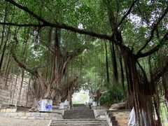 -胡里山炮台