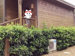-张家港金凤凰度假村温泉