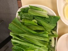 油麦菜-彤德莱火锅(果园路店)