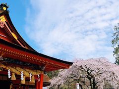 -富士山本宫浅间大社