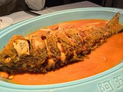 -阿五黄河大鲤鱼(纬三路店)