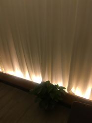 -丝域养发馆
