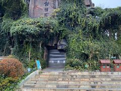 -云南野生动物园