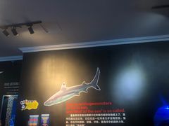 -成都浩海立方海洋公园