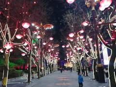 -大唐不夜城-开元广场