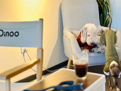 -Dinoo 片场咖啡(酒仙桥店)