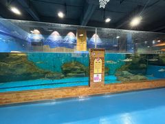 -顺德南宏海立方海洋公园