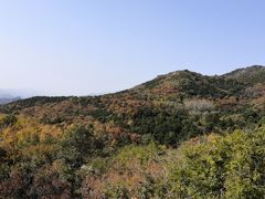 -北京鹫峰国家森林公园