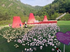 -秦岭终南山世界地质公园翠华山景区