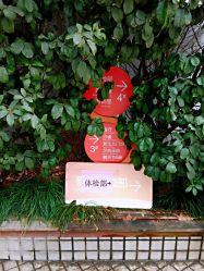 -上海市长宁区妇幼保健院