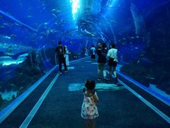 -成都浩海立方海洋公园