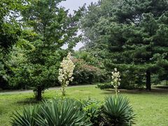 -国家植物园南园