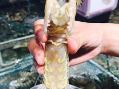-盒马鲜生(莱蒙都会店)