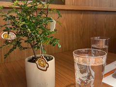-CURRY YA 熟成咖哩專門店(深圳湾万象城店)