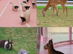 -渔岛海洋度假区