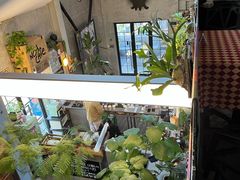 -nodcafe(M50创意园店)