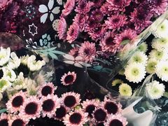 -双季花艺园艺市场(浦东店)