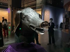 -广西壮族自治区博物馆