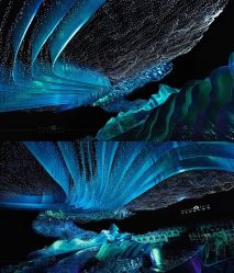 点击看大图 -三色锦婚礼定制