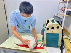 -立德24H动物医院·夜诊·转诊中心·1.5T核磁共振(海珠店)