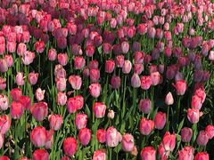 -宋记冕宁土菜馆(海门渔村二店)