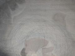 -天津美术学院-校史馆