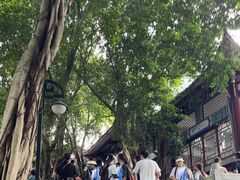 -丰都鬼城名山景区