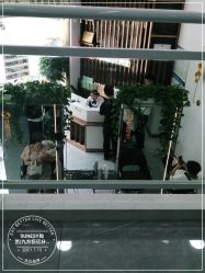点击看大图 -尚艺造型.剪烫染.接发