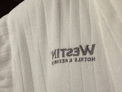 -广交会威斯汀酒店